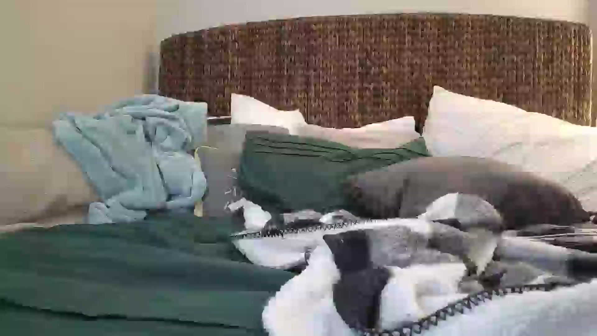Gallery image thumbnail from Hailey_Love_'s myfreecams stream on, 02/10/2025, 19:37 image 20 of 20
