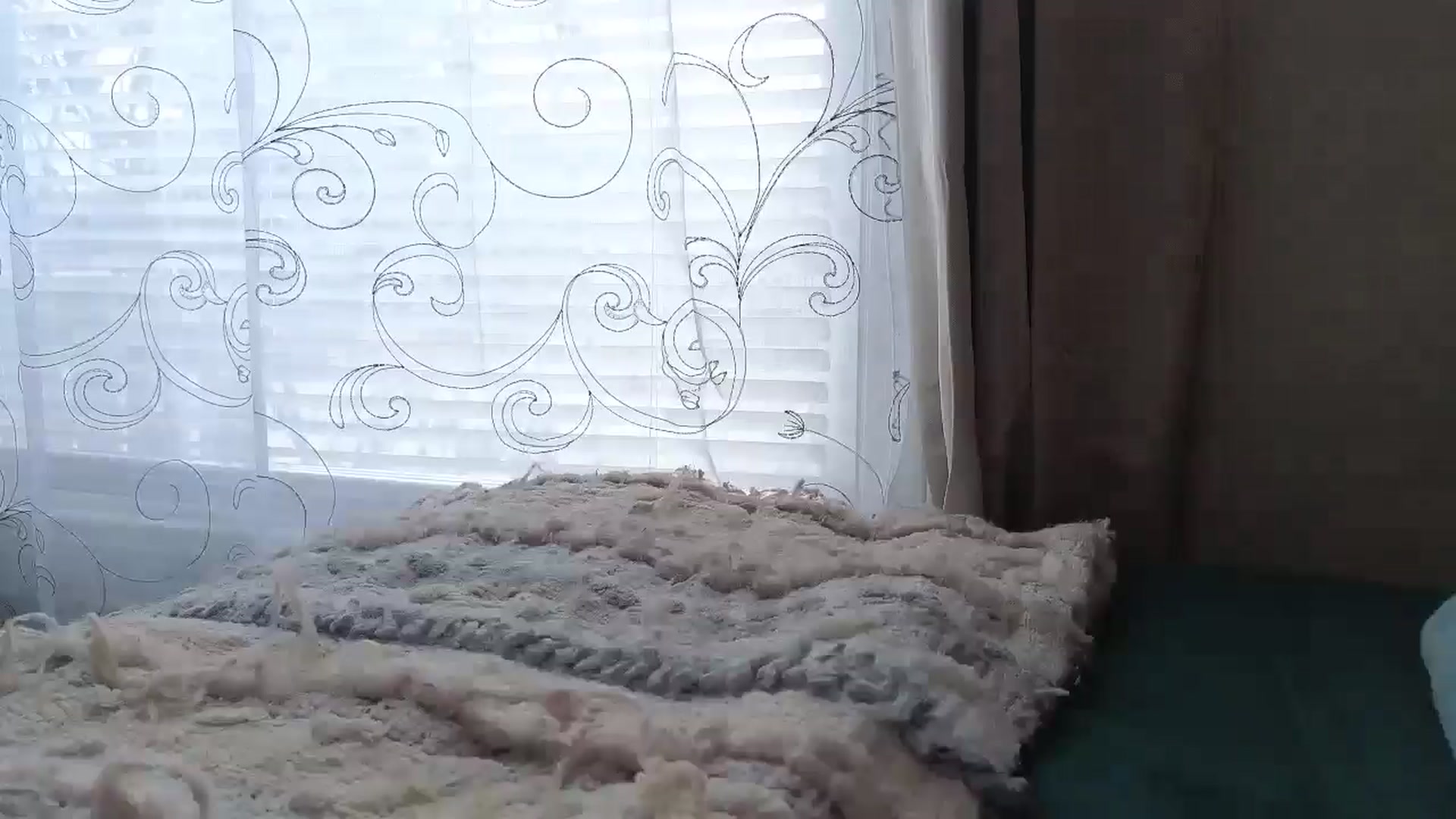 Gallery image thumbnail from Hailey_Love_'s myfreecams stream on, 03/05/2025, 20:02 image 16 of 20