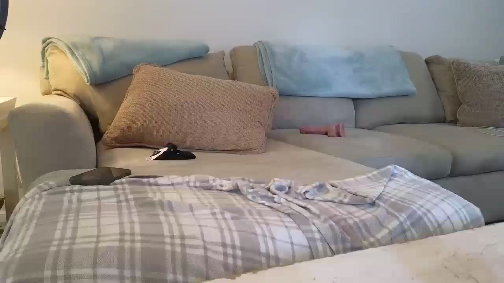 Gallery image thumbnail from Hailey_Love_'s myfreecams stream on, 08/20/2025, 18:15 image 19 of 20
