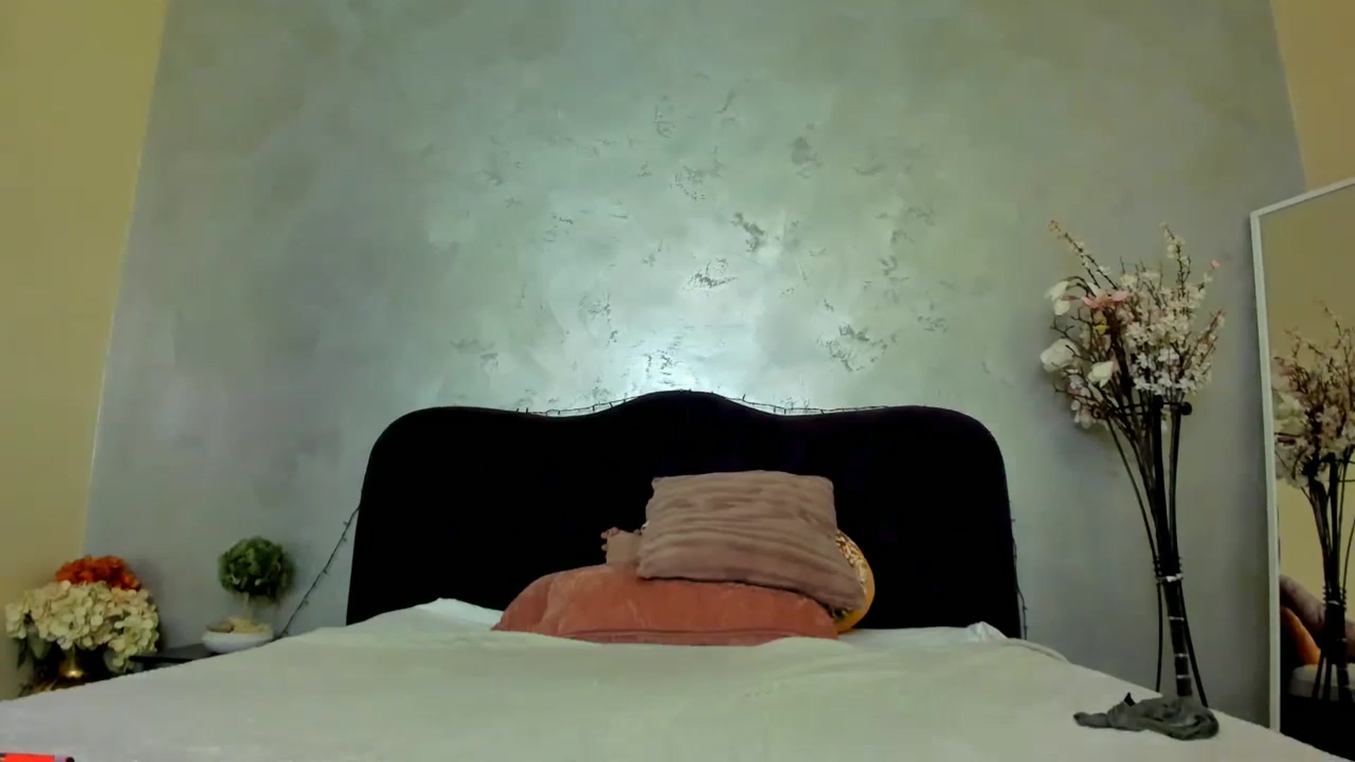 Gallery image thumbnail from Hailey_boo's myfreecams stream on, 12/30/2023, 09:58 image 13 of 20