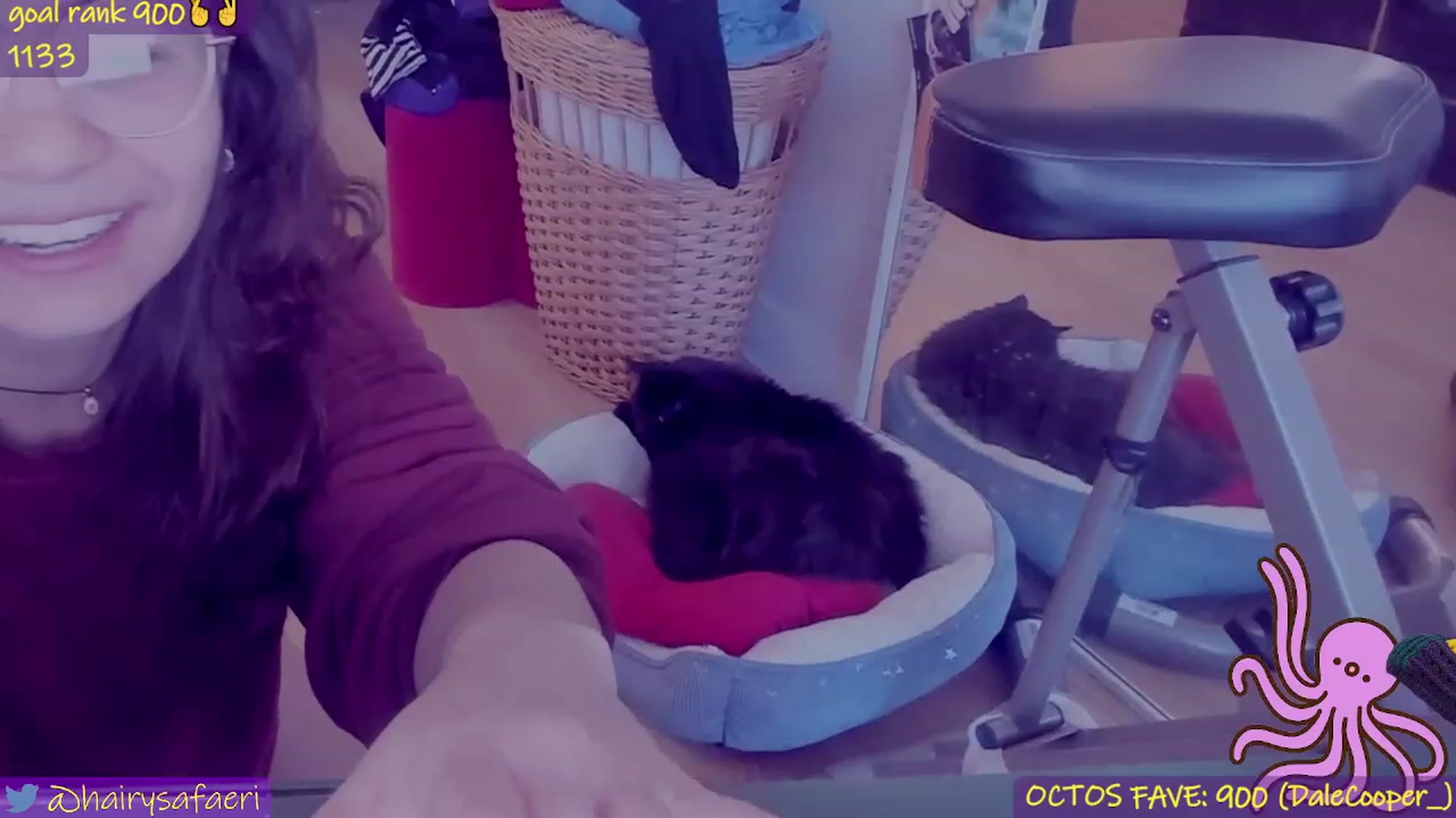 Gallery image thumbnail from HairySafaeri's myfreecams stream on, 03/30/2023, 17:07 image 18 of 20