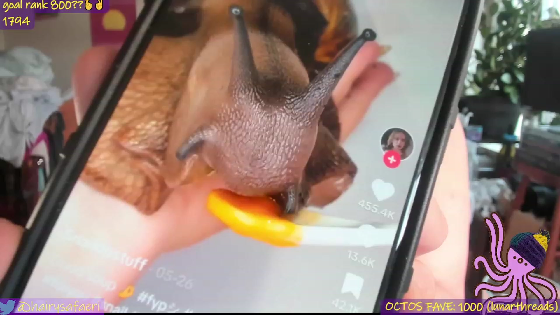 Gallery image thumbnail from HairySafaeri's myfreecams stream on, 06/05/2023, 22:00 image 17 of 20