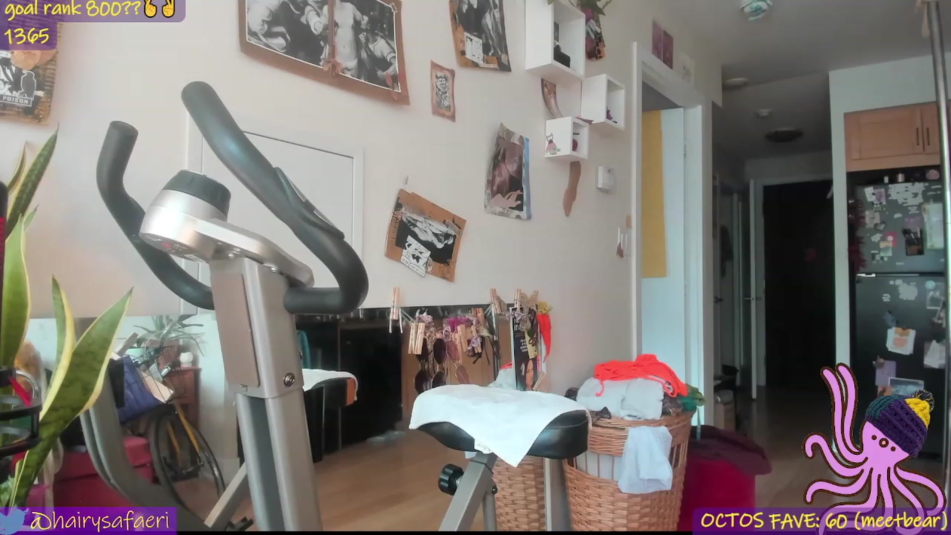 Gallery image thumbnail from HairySafaeri's myfreecams stream on, 06/10/2023, 15:24 image 7 of 20