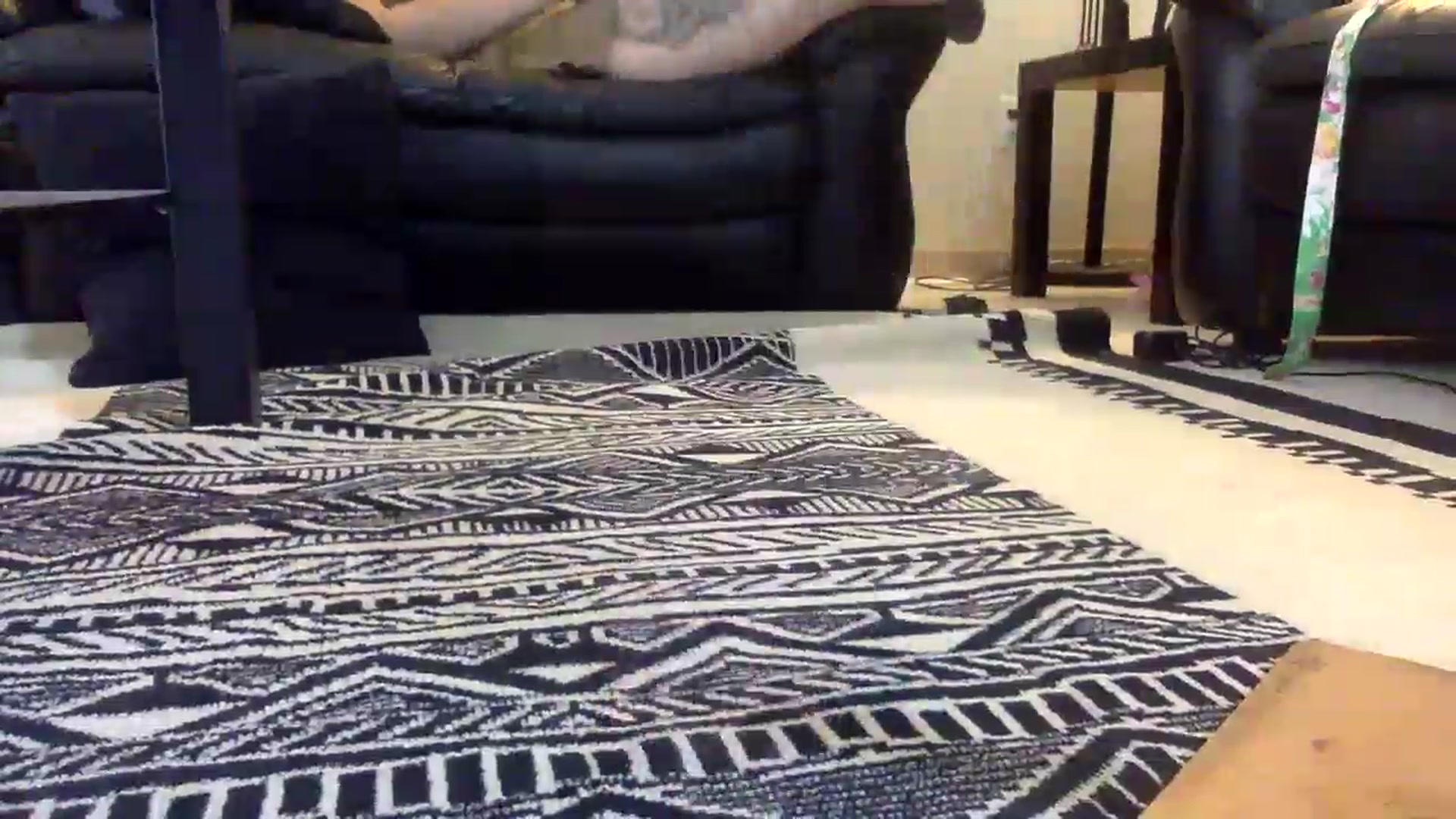 Gallery image thumbnail from HairySafaeri's myfreecams stream on, 06/19/2023, 21:25 image 9 of 20