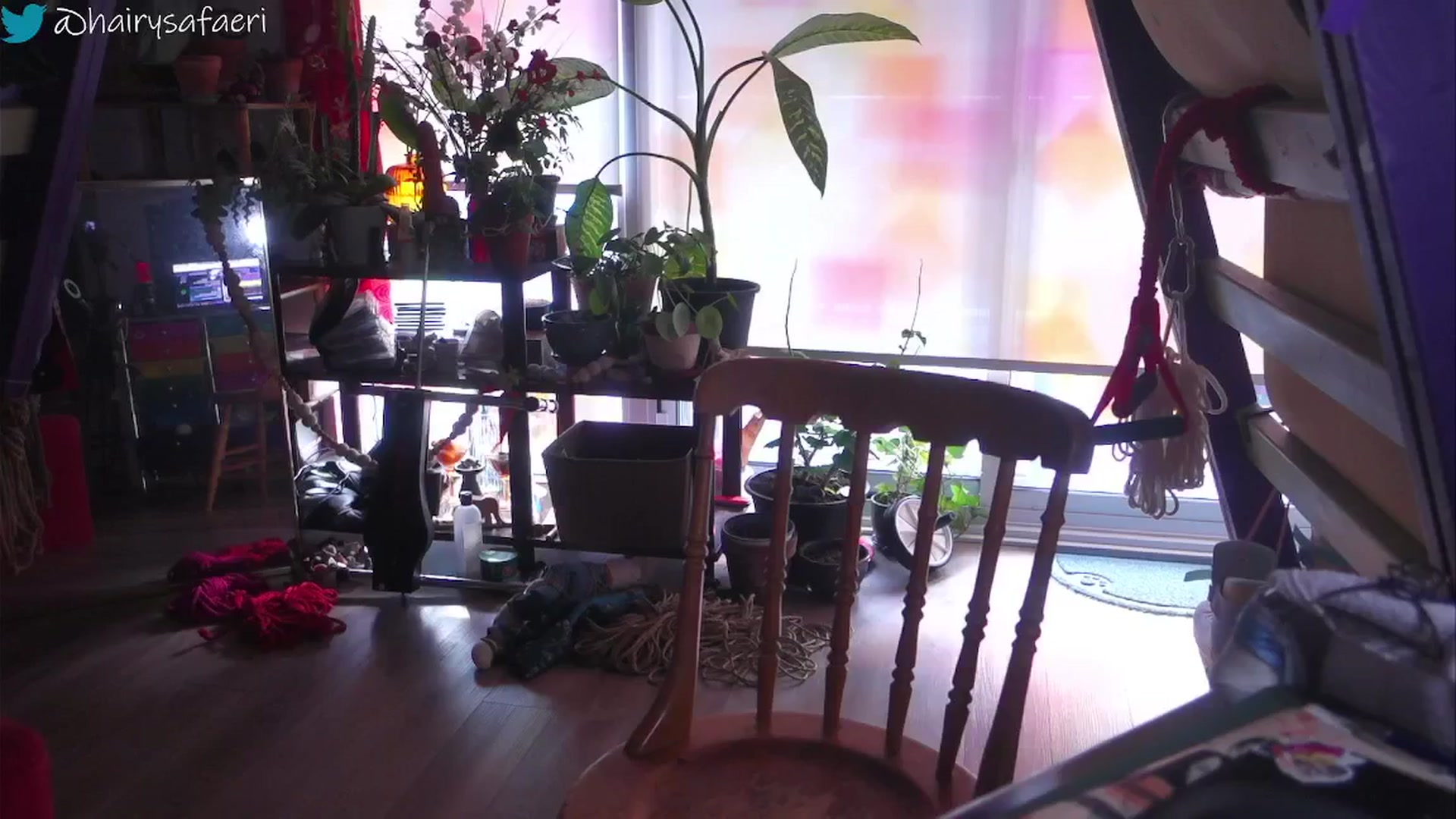 Gallery image thumbnail from HairySafaeri's myfreecams stream on, 02/11/2025, 19:53 image 6 of 20