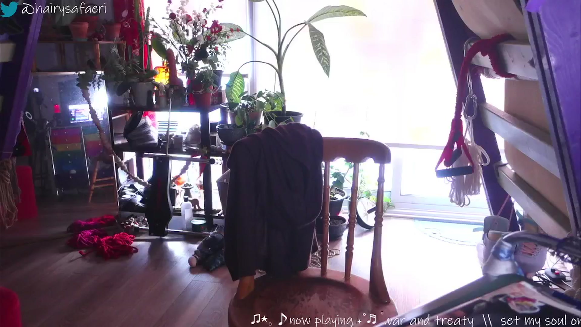 Gallery image thumbnail from HairySafaeri's myfreecams stream on, 02/11/2025, 19:53 image 13 of 20