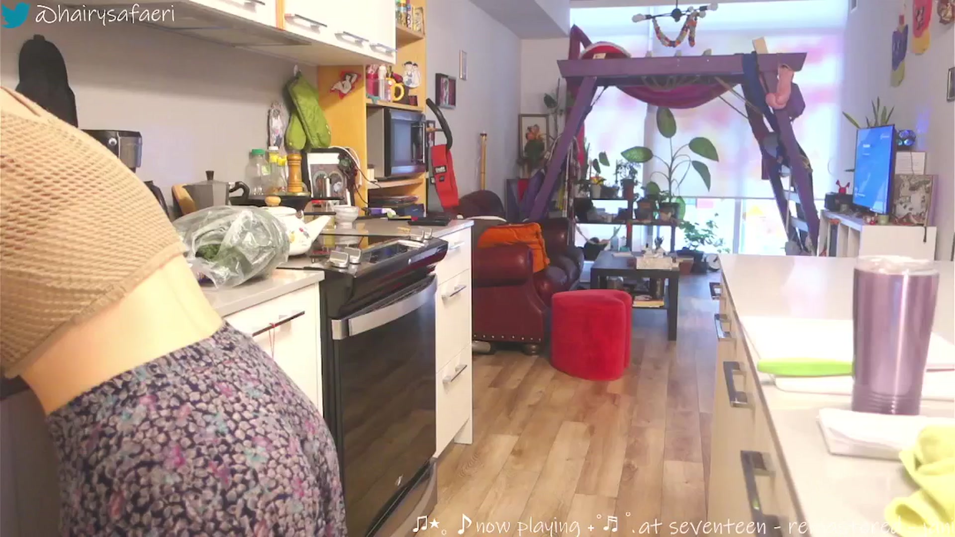 Gallery image thumbnail from HairySafaeri's myfreecams stream on, 02/27/2025, 20:36 image 14 of 20