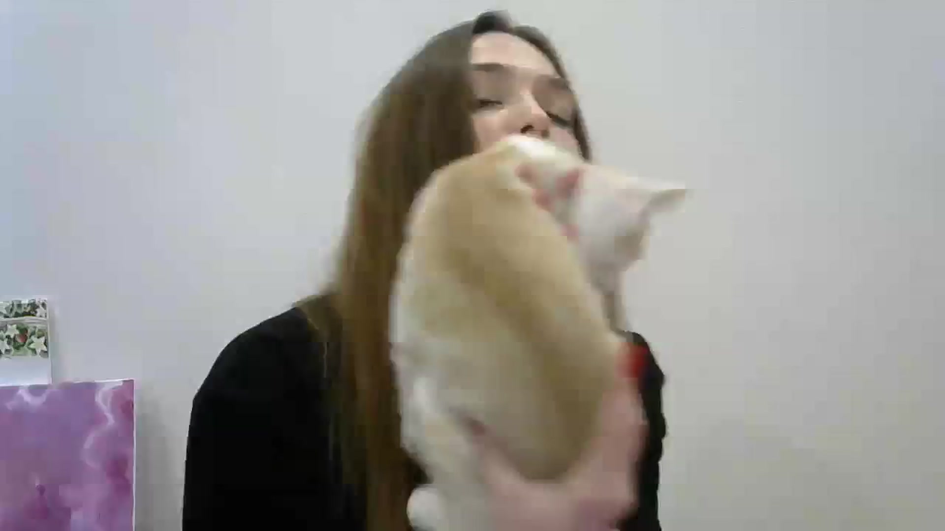 Gallery image thumbnail from HaleyReed's myfreecams stream on, 12/03/2023, 17:02 image 18 of 20