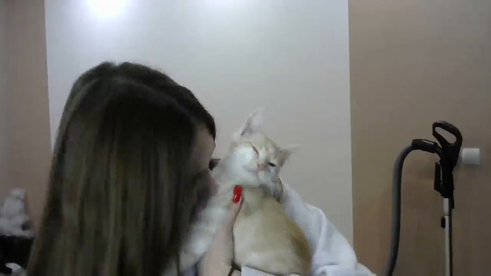 Gallery image thumbnail from HaleyReed's myfreecams stream on, 12/06/2023, 15:35 image 11 of 20