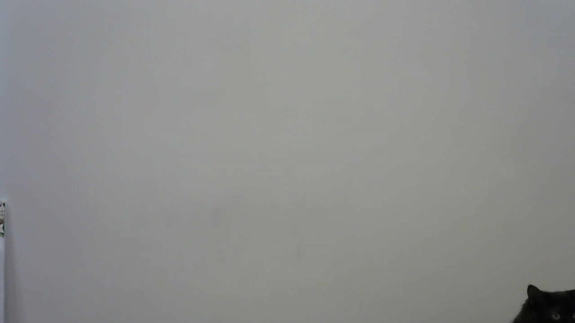 Gallery image thumbnail from HaleyReed's myfreecams stream on, 12/16/2023, 17:25 image 16 of 20