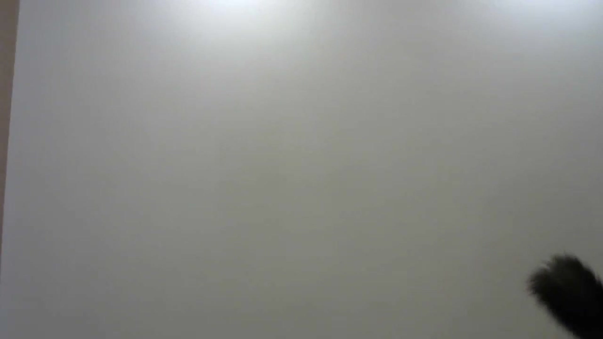 Gallery image thumbnail from HaleyReed's myfreecams stream on, 12/26/2023, 16:02 image 3 of 20