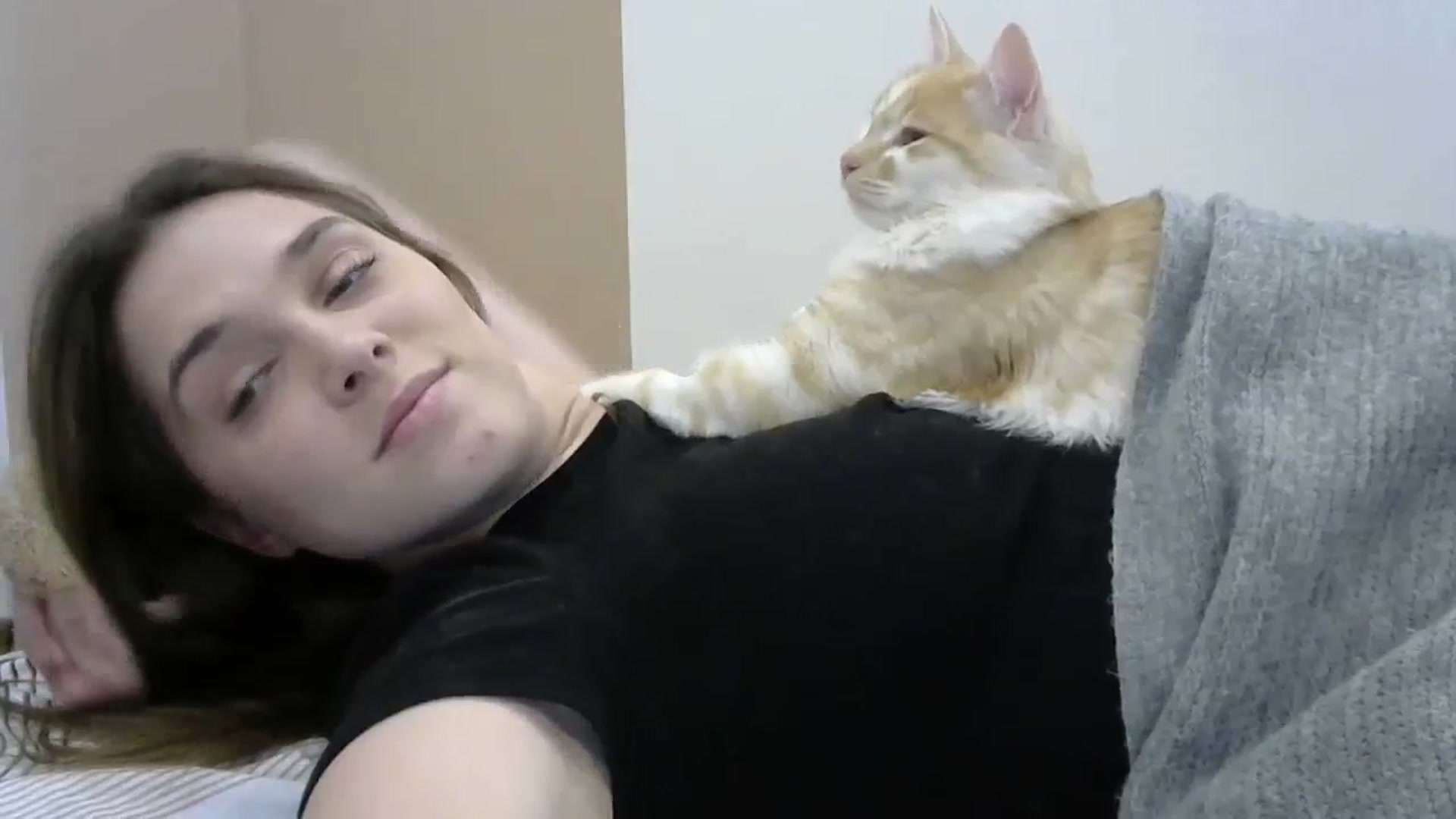 Gallery image thumbnail from HaleyReed's myfreecams stream on, 02/28/2024, 16:20 image 4 of 20