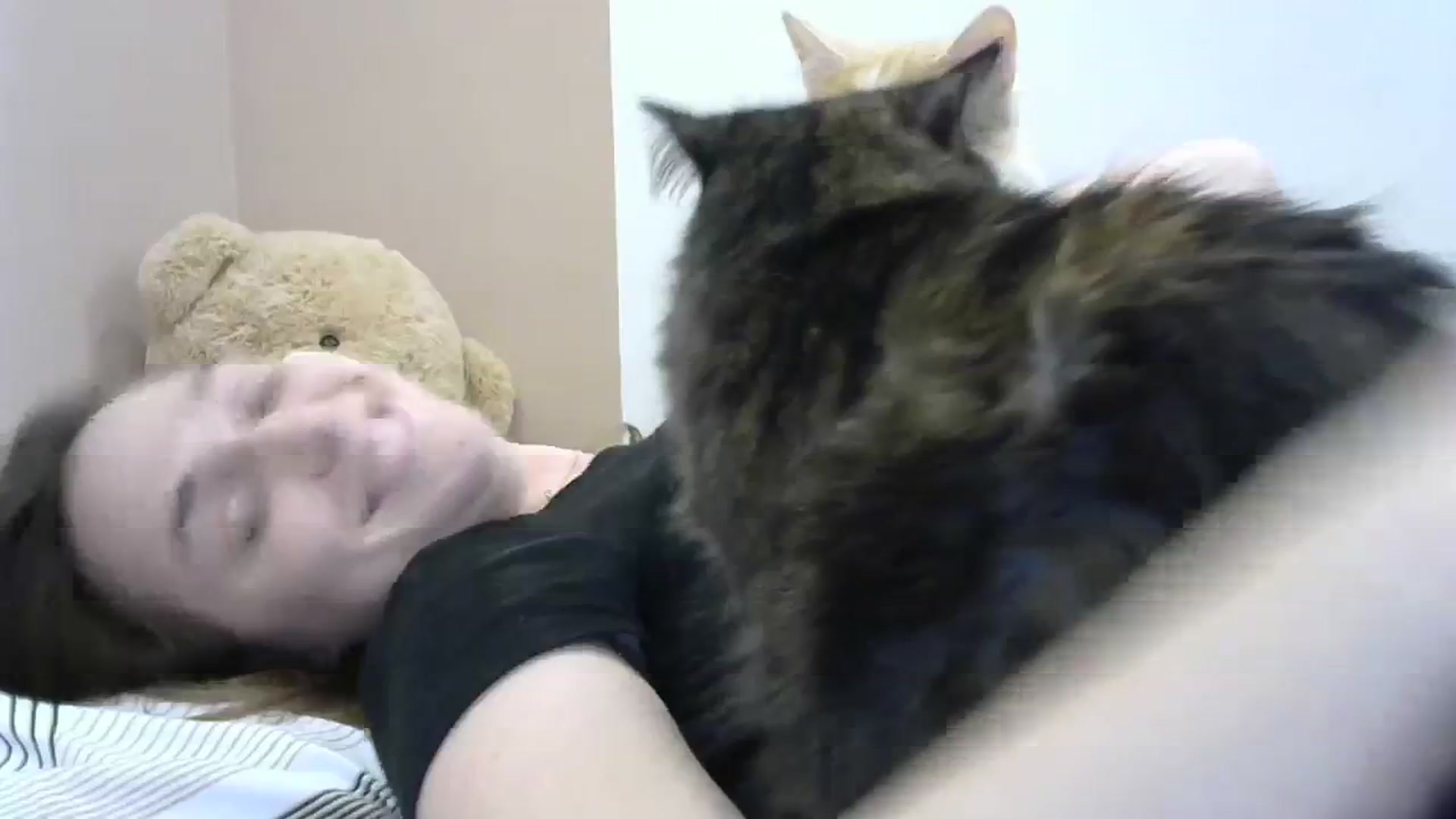 Gallery image thumbnail from HaleyReed's myfreecams stream on, 02/28/2024, 16:20 image 8 of 20