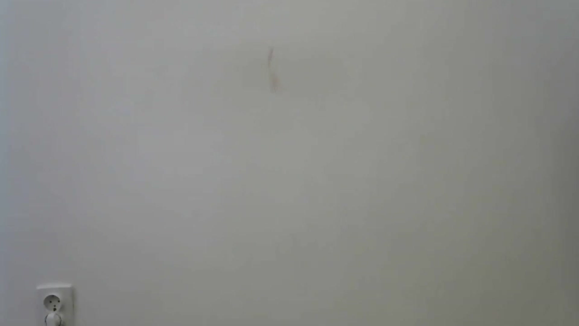 Gallery image thumbnail from HaleyReed's myfreecams stream on, 05/10/2024, 14:55 image 5 of 20