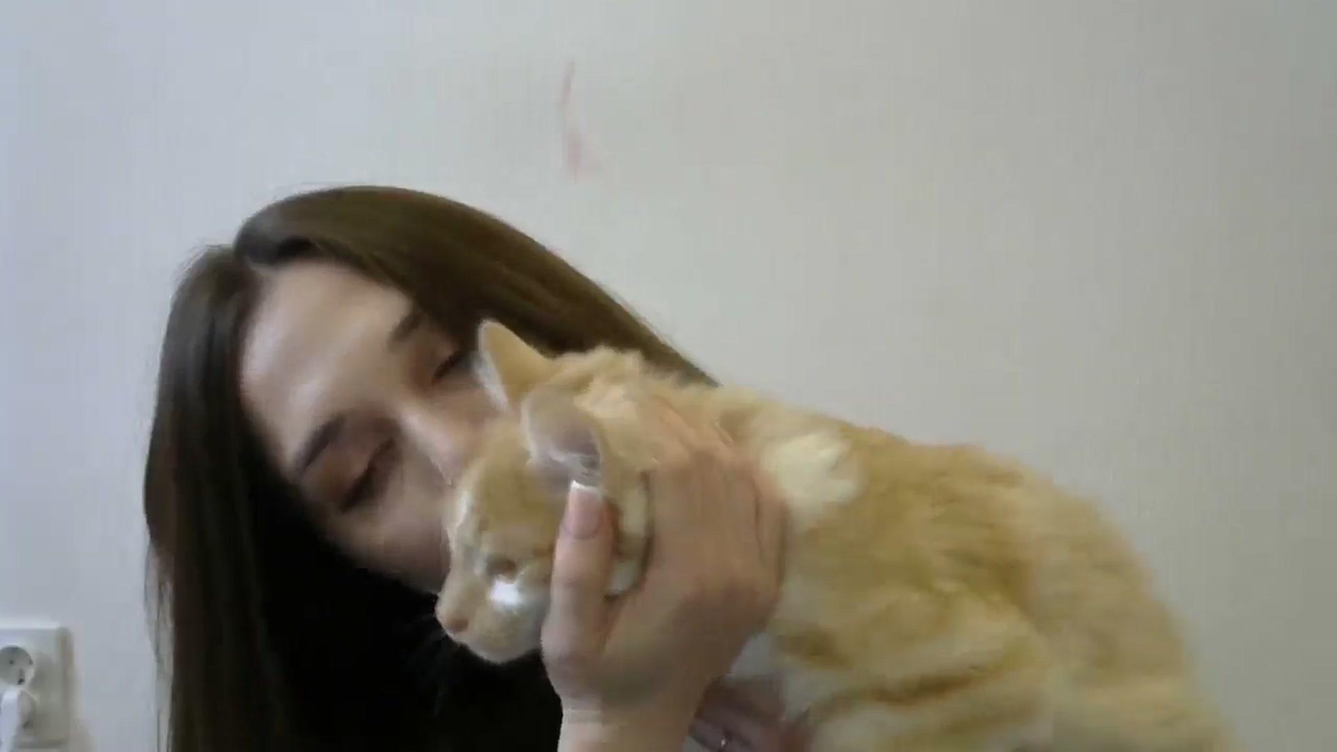 Gallery image thumbnail from HaleyReed's myfreecams stream on, 05/12/2024, 12:11 image 3 of 20