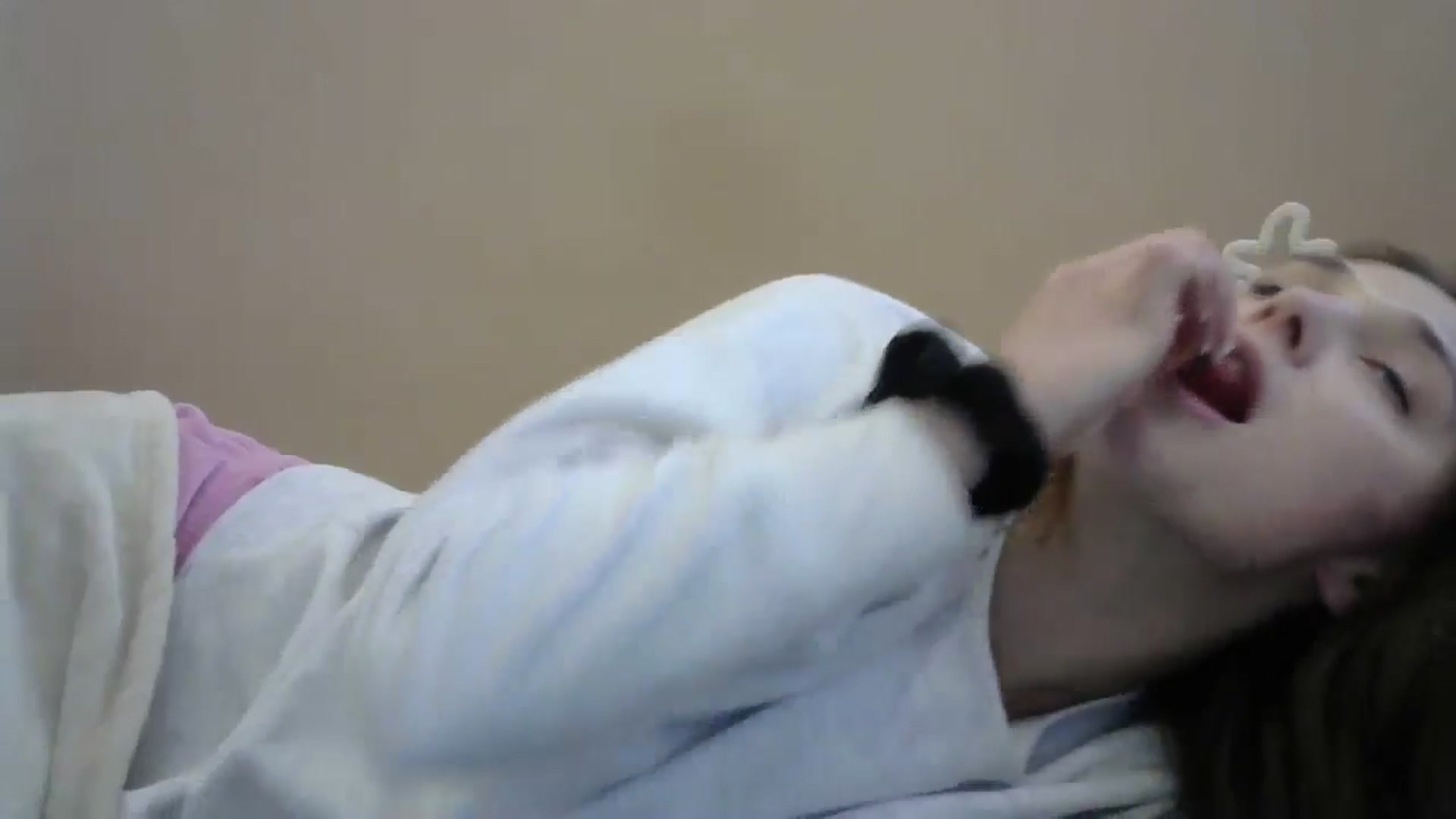 Gallery image thumbnail from HaleyReed's myfreecams stream on, 05/15/2024, 15:47 image 8 of 20