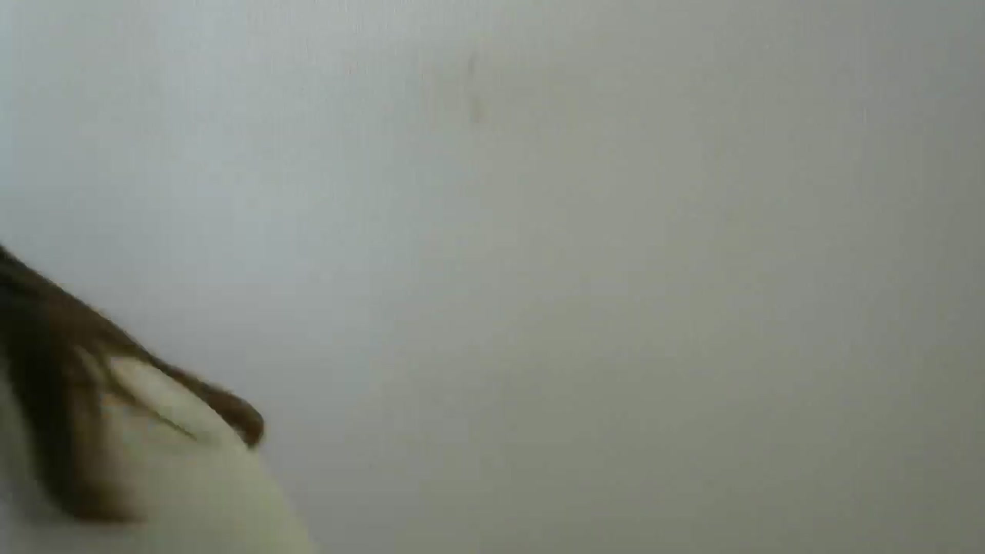 Gallery image thumbnail from HaleyReed's myfreecams stream on, 05/23/2024, 09:40 image 4 of 20