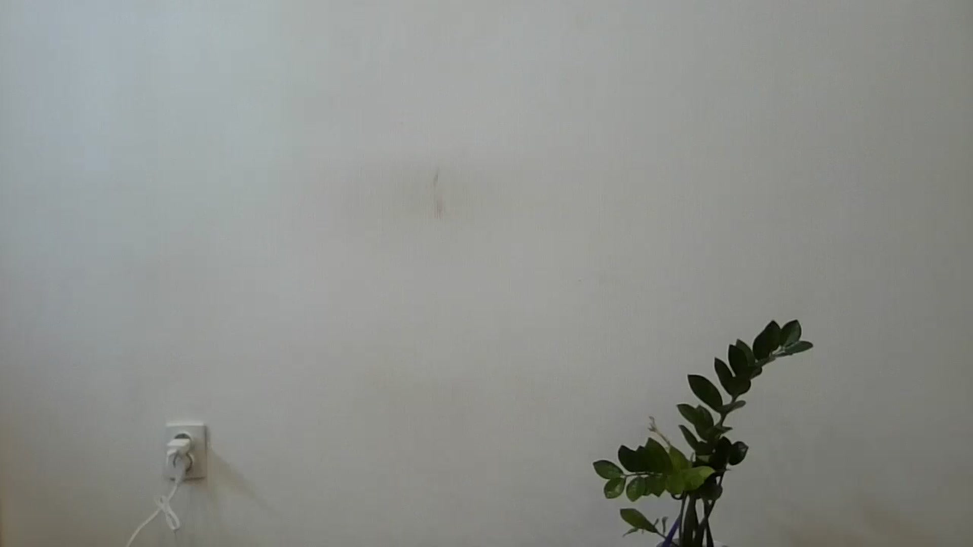 Gallery image thumbnail from HaleyReed's myfreecams stream on, 06/14/2024, 13:27 image 1 of 20