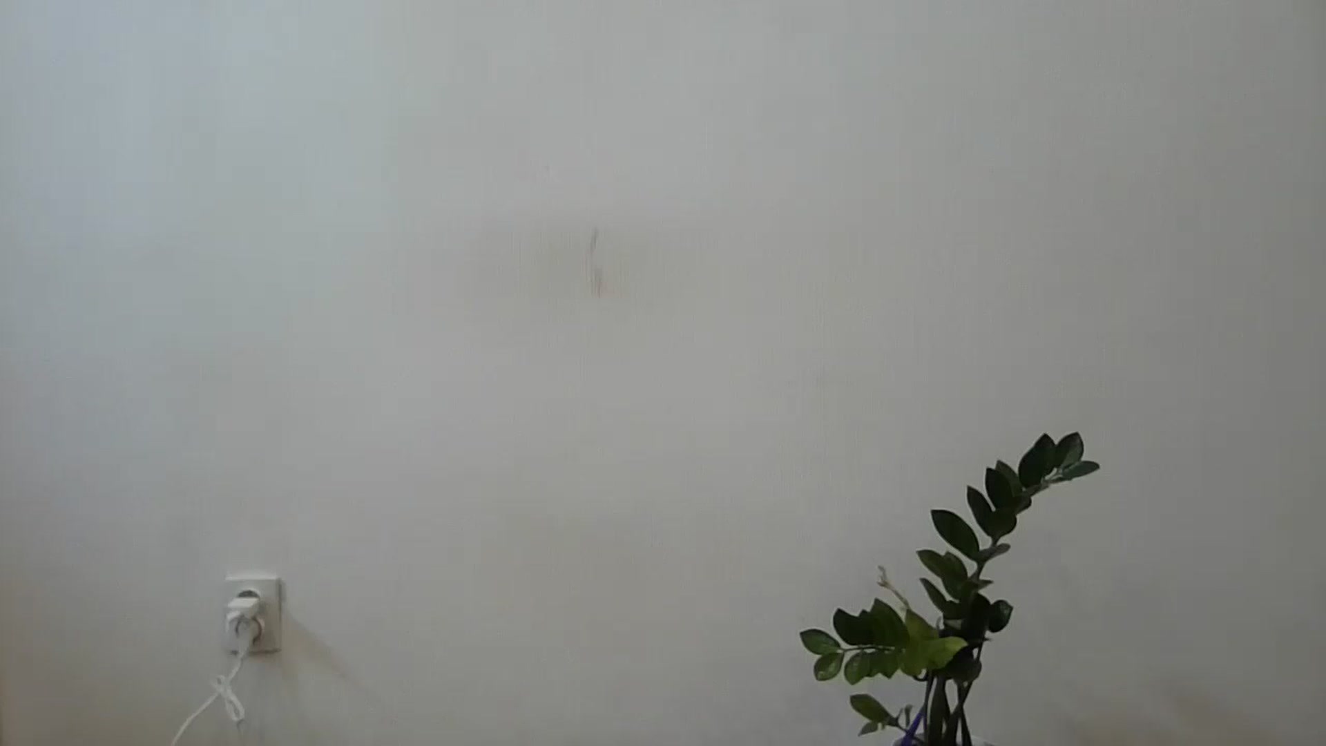 Gallery image thumbnail from HaleyReed's myfreecams stream on, 06/14/2024, 13:27 image 4 of 20