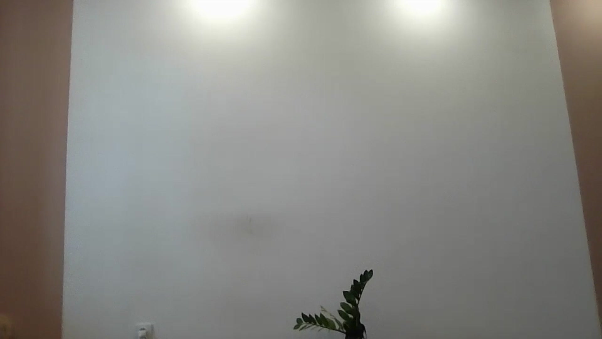 Gallery image thumbnail from HaleyReed's myfreecams stream on, 06/14/2024, 13:58 image 4 of 20
