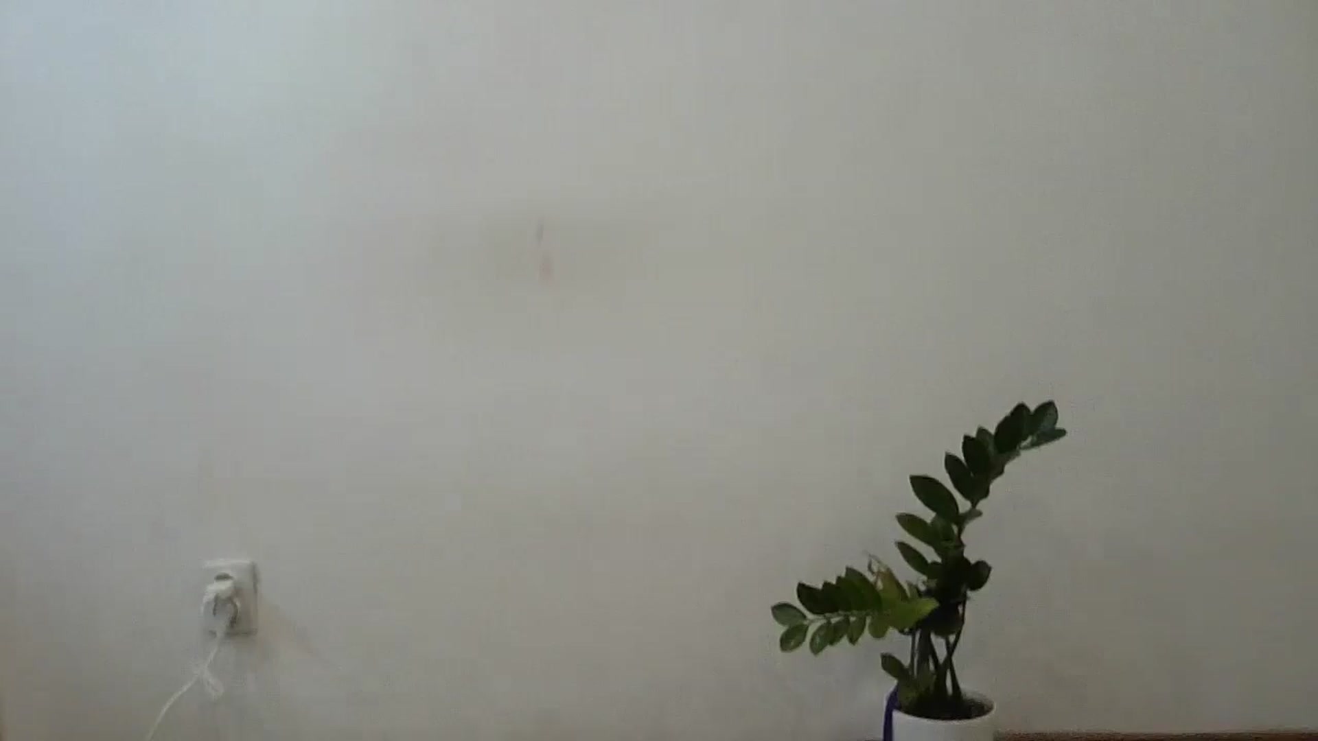 Gallery image thumbnail from HaleyReed's myfreecams stream on, 06/17/2024, 08:09 image 12 of 20