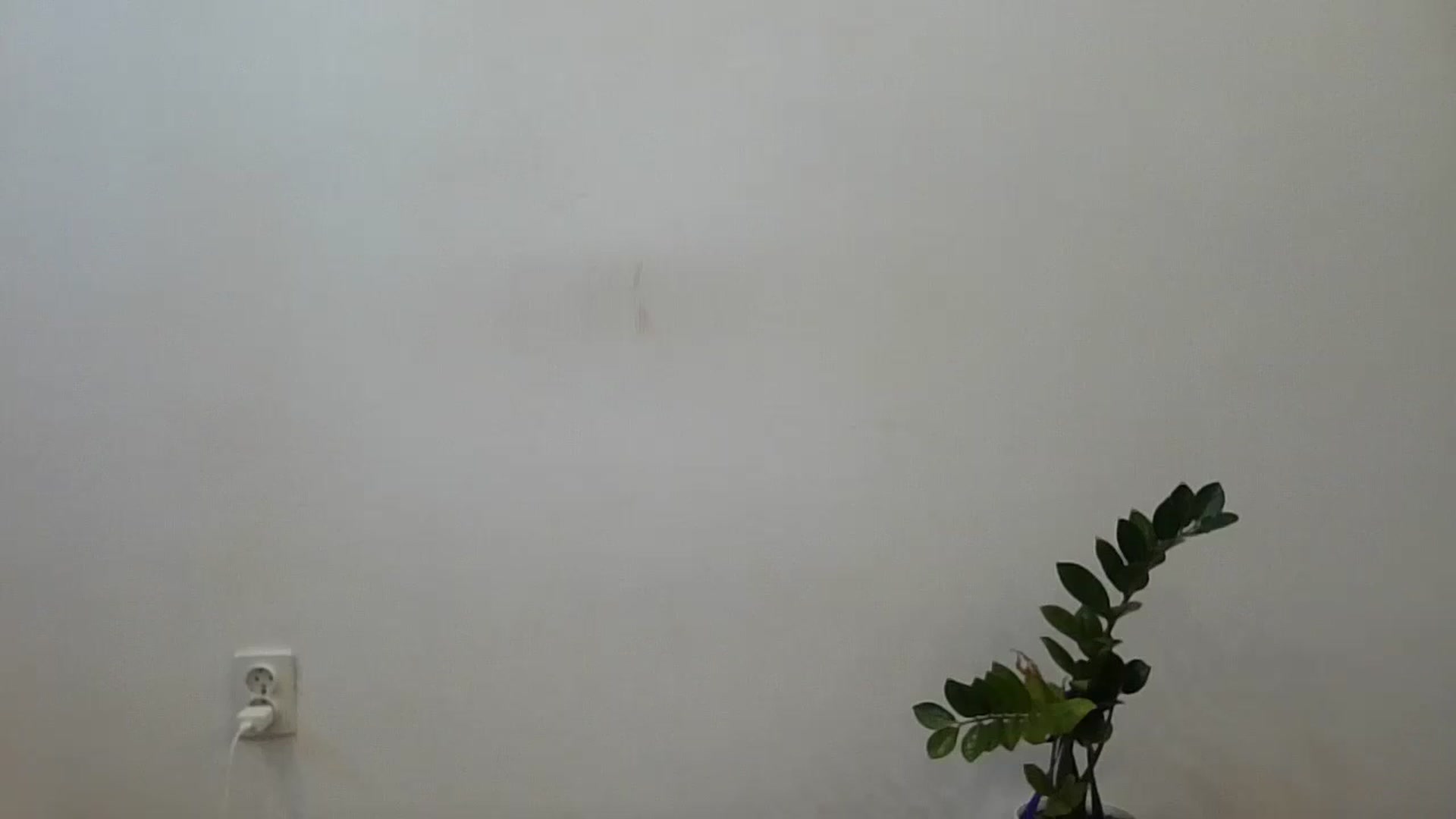 Gallery image thumbnail from HaleyReed's myfreecams stream on, 06/17/2024, 15:17 image 19 of 20