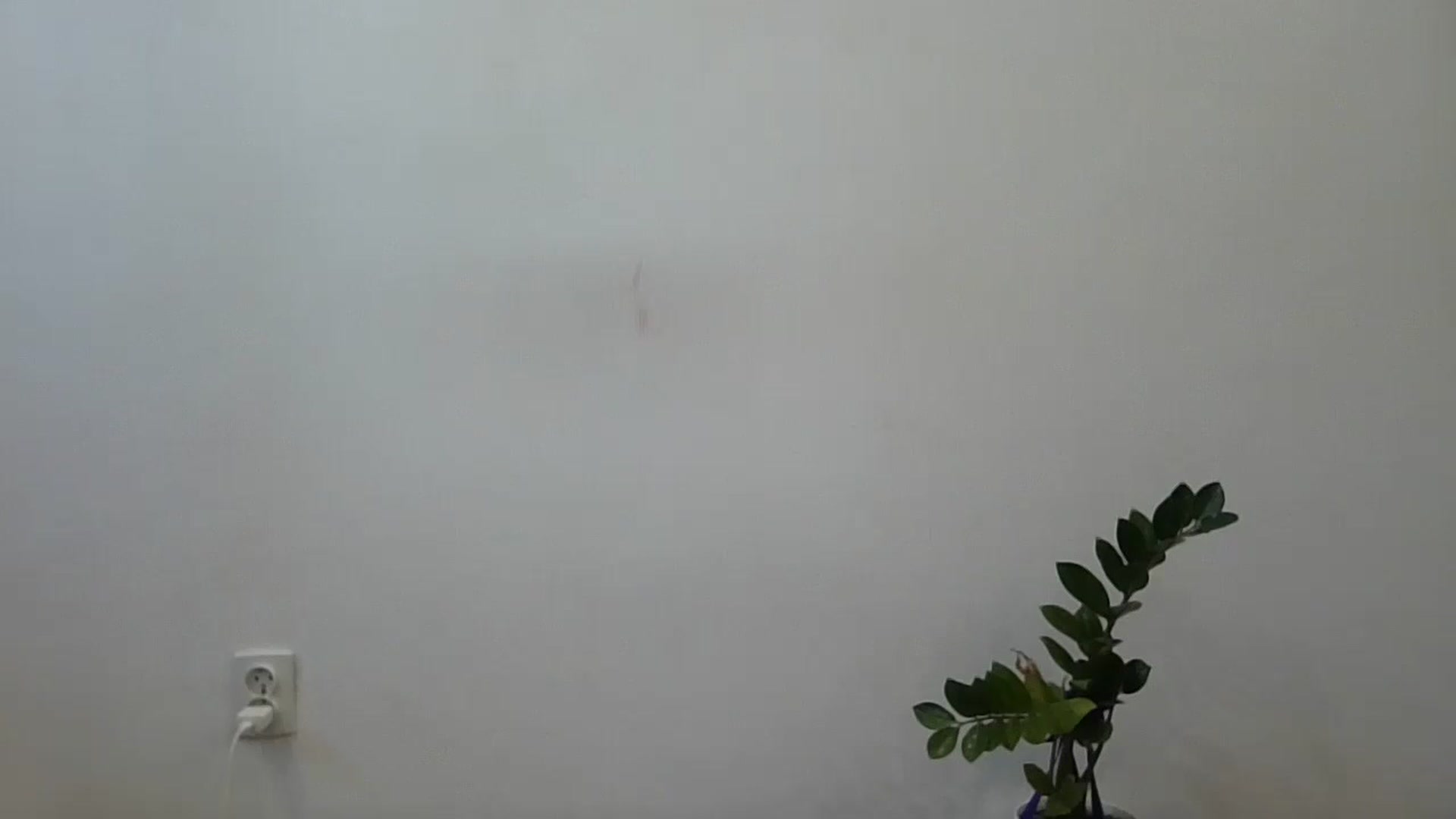Gallery image thumbnail from HaleyReed's myfreecams stream on, 06/17/2024, 15:17 image 18 of 20