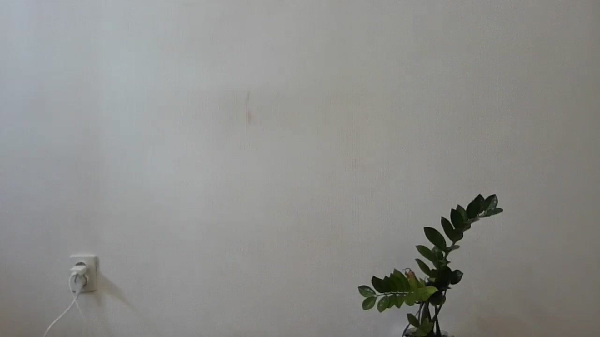 Gallery image thumbnail from HaleyReed's myfreecams stream on, 06/19/2024, 10:09 image 18 of 20