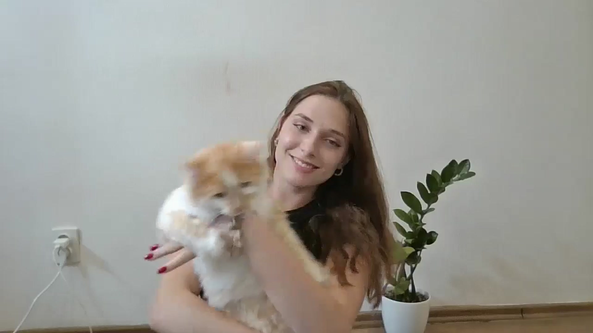 Gallery image thumbnail from HaleyReed's myfreecams stream on, 06/19/2024, 11:50 image 5 of 20