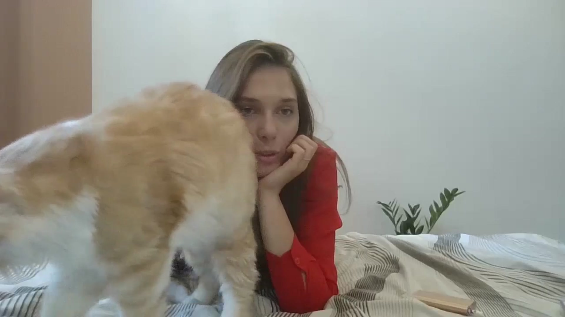 Gallery image thumbnail from HaleyReed's myfreecams stream on, 08/02/2024, 13:31 image 12 of 20