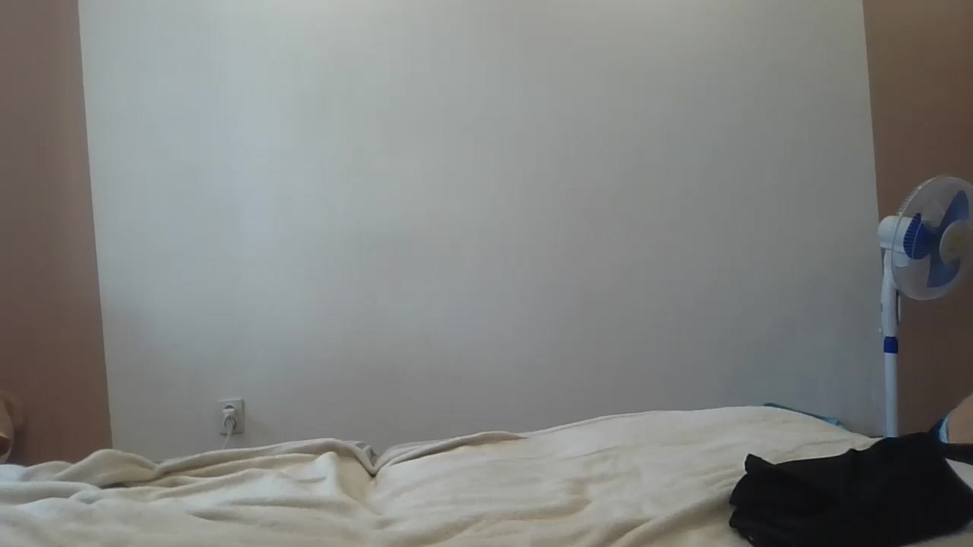 Gallery image thumbnail from HaleyReed's myfreecams stream on, 08/14/2024, 09:41 image 20 of 20