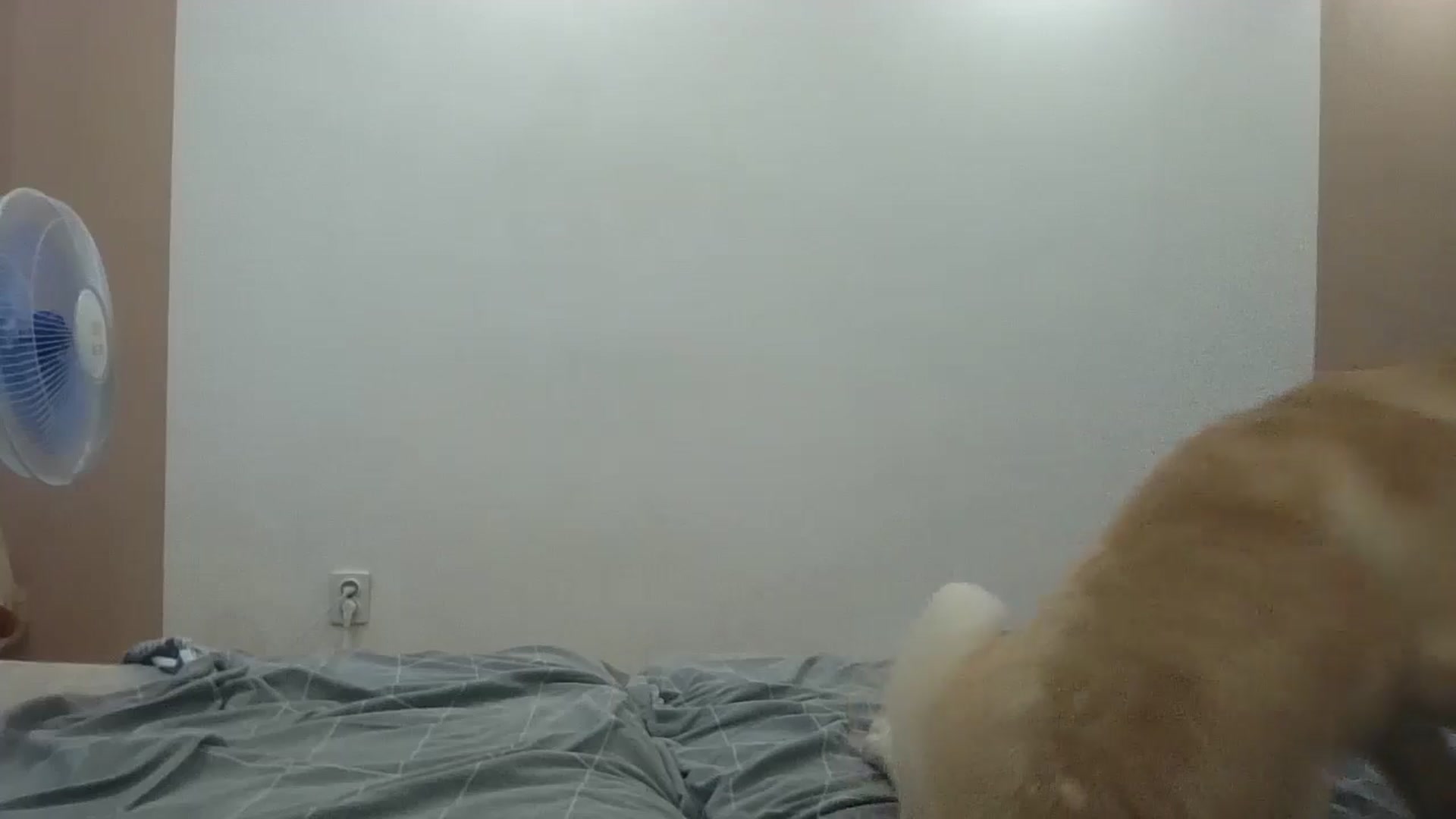 Gallery image thumbnail from HaleyReed's myfreecams stream on, 08/23/2024, 15:50 image 12 of 20