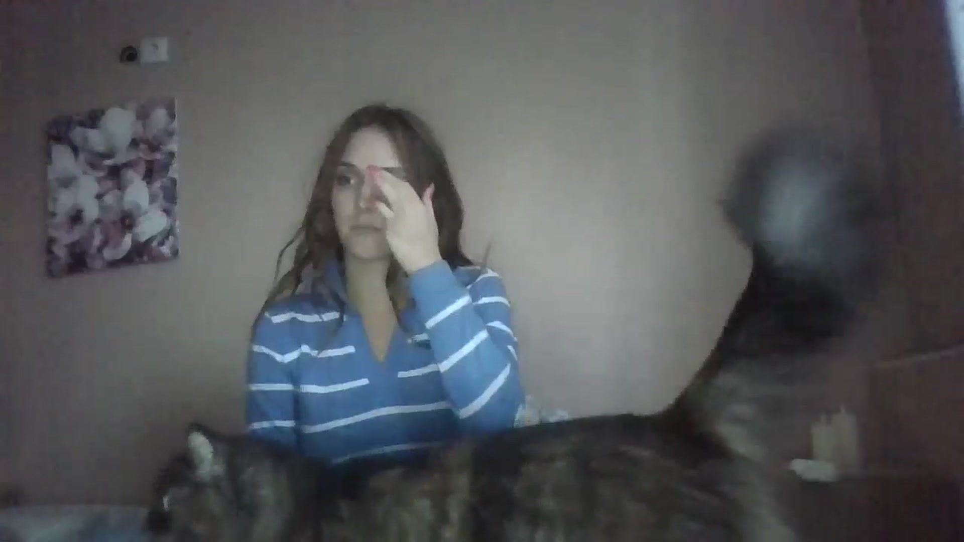 Gallery image thumbnail from HaleyReed's myfreecams stream on, 09/13/2024, 15:55 image 7 of 20