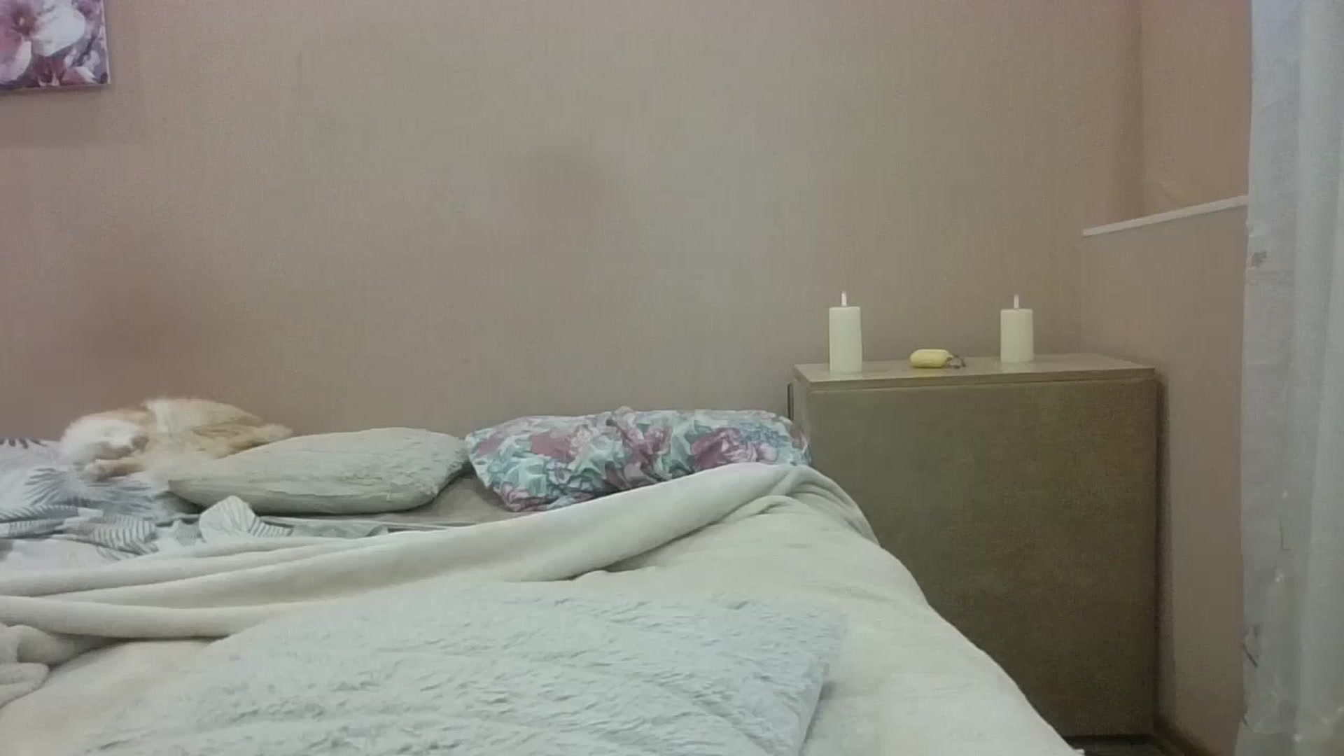 Gallery image thumbnail from HaleyReed's myfreecams stream on, 09/19/2024, 16:00 image 3 of 20