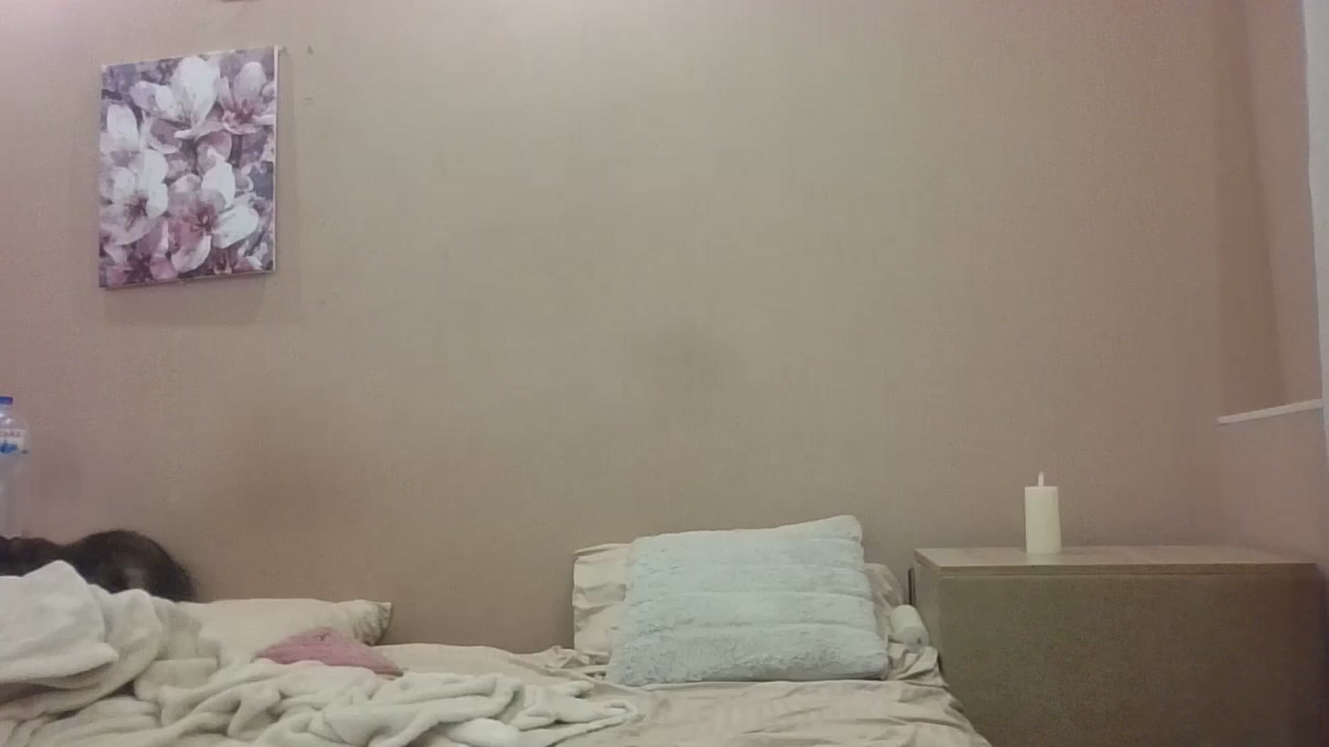 Gallery image thumbnail from HaleyReed's myfreecams stream on, 10/09/2024, 16:23 image 20 of 20