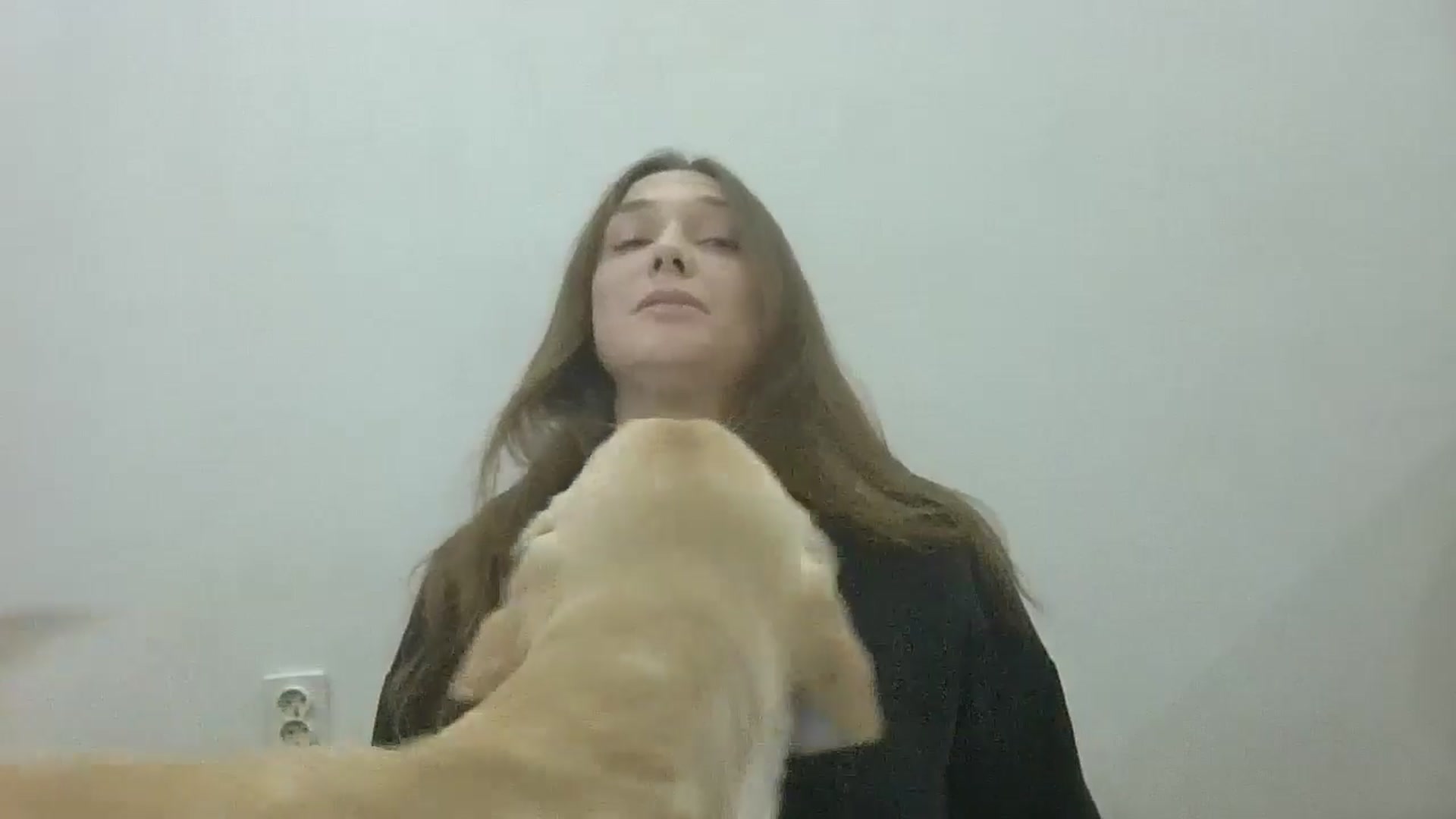 Gallery image thumbnail from HaleyReed's myfreecams stream on, 10/13/2024, 13:59 image 9 of 20