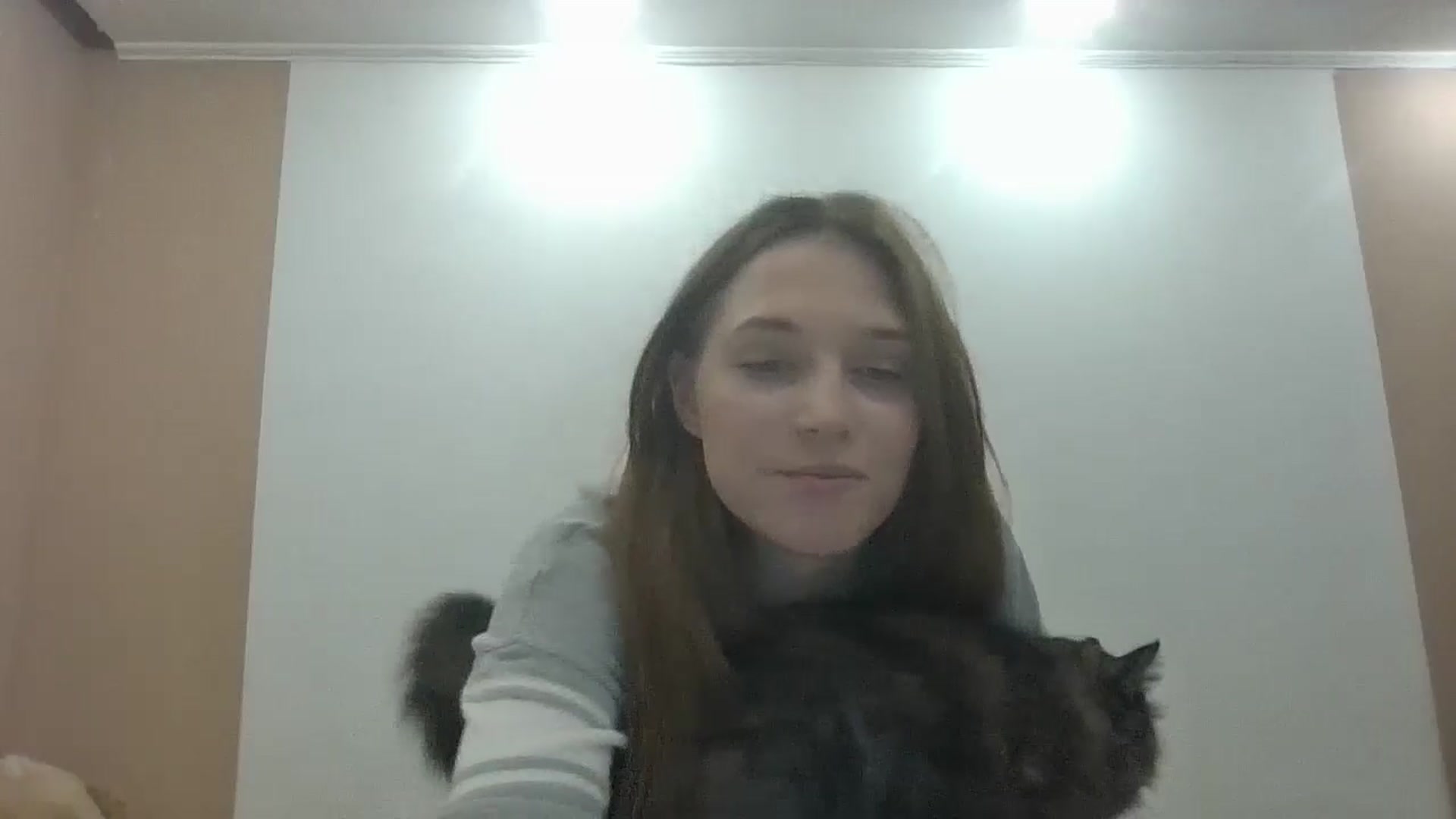 Gallery image thumbnail from HaleyReed's myfreecams stream on, 10/17/2024, 14:55 image 16 of 20
