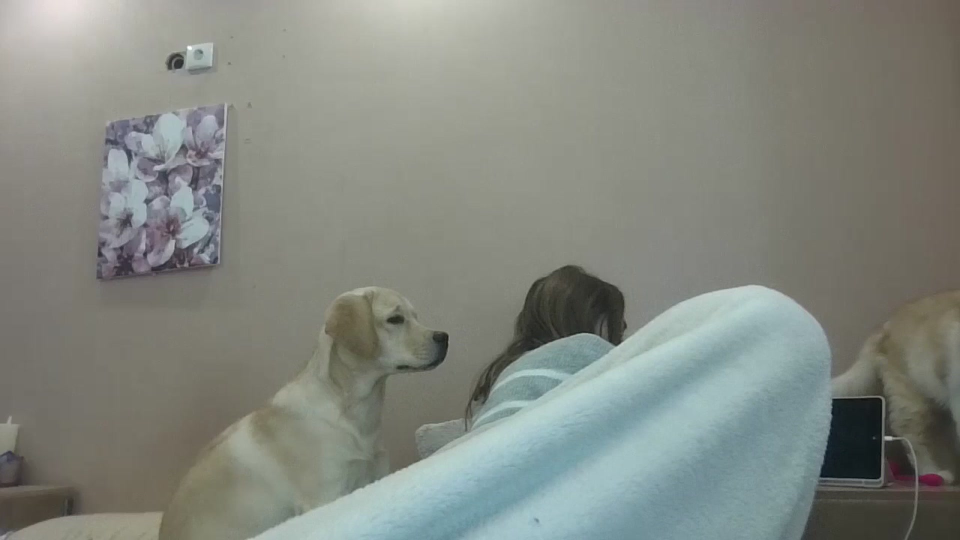 Gallery image thumbnail from HaleyReed's myfreecams stream on, 10/18/2024, 11:42 image 1 of 20