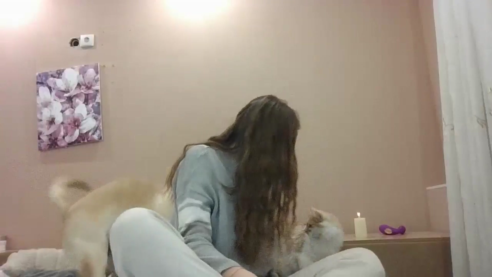 Gallery image thumbnail from HaleyReed's myfreecams stream on, 11/08/2024, 15:56 image 15 of 20