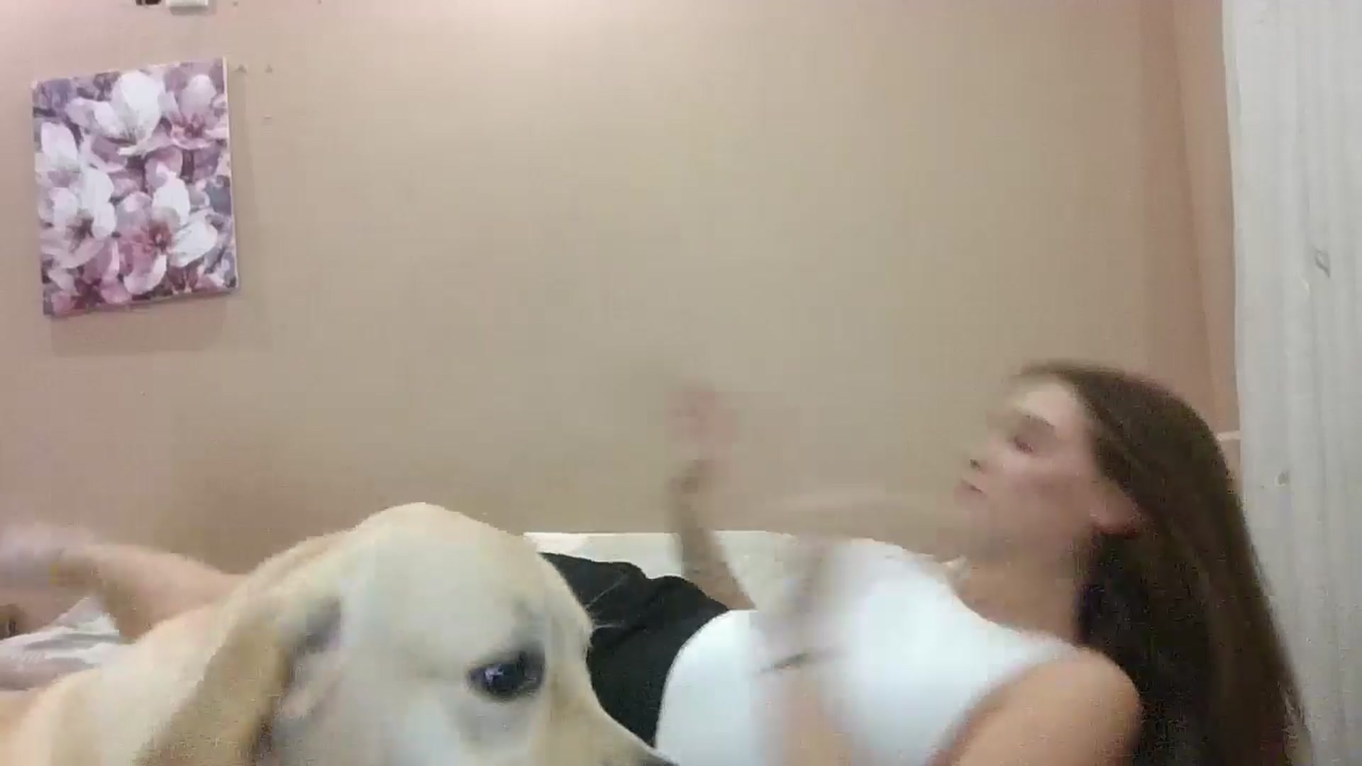 Gallery image thumbnail from HaleyReed's myfreecams stream on, 11/10/2024, 17:10 image 14 of 20