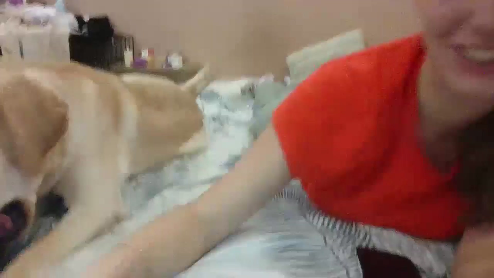 Gallery image thumbnail from HaleyReed's myfreecams stream on, 11/14/2024, 16:25 image 1 of 20