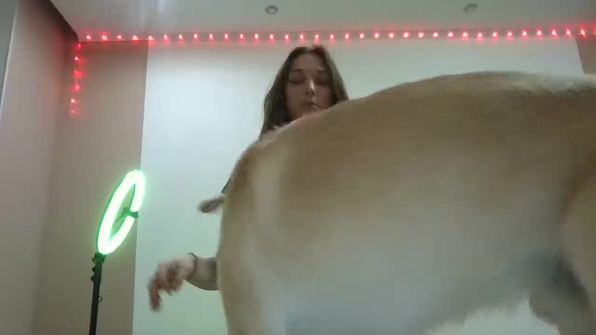 Gallery image thumbnail from HaleyReed's myfreecams stream on, 12/02/2024, 15:28 image 11 of 20