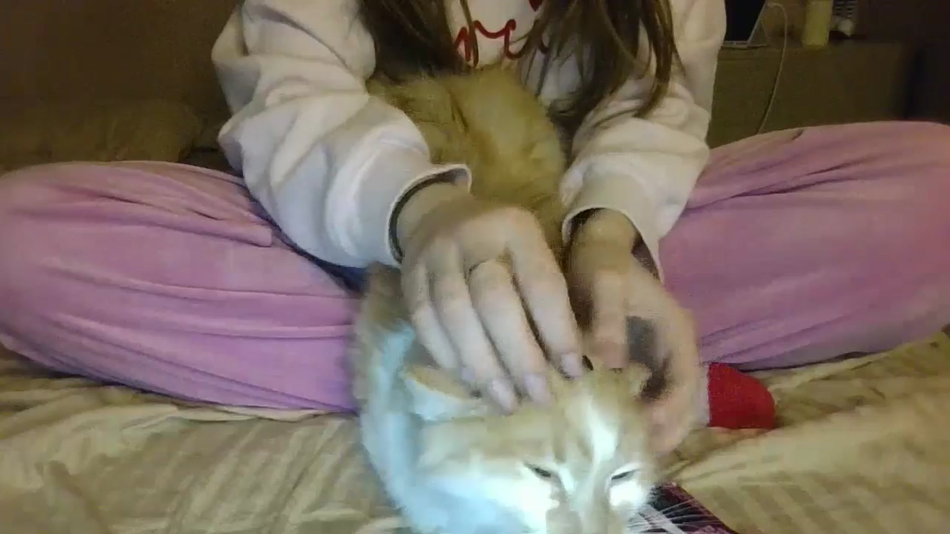 Gallery image thumbnail from HaleyReed's myfreecams stream on, 12/09/2024, 16:43 image 18 of 20