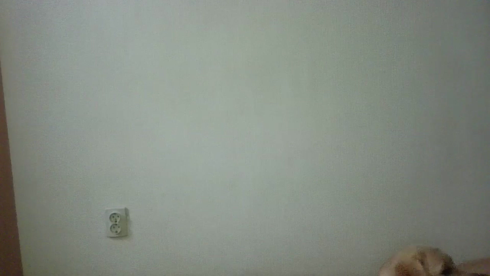 Gallery image thumbnail from HaleyReed's myfreecams stream on, 12/13/2024, 10:32 image 3 of 20