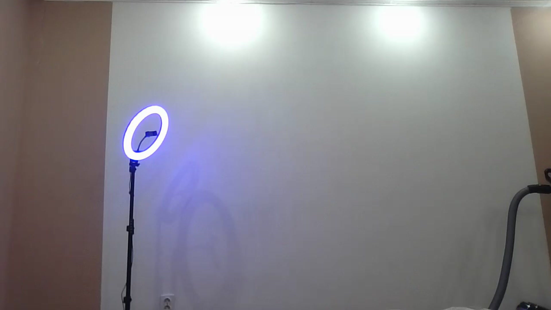 Gallery image thumbnail from HaleyReed's myfreecams stream on, 12/16/2024, 15:31 image 9 of 20