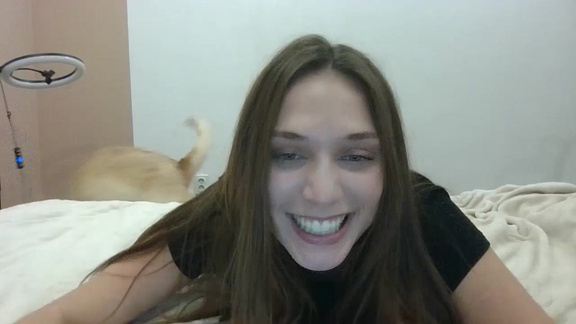 Gallery image thumbnail from HaleyReed's myfreecams stream on, 12/23/2024, 14:03 image 6 of 20