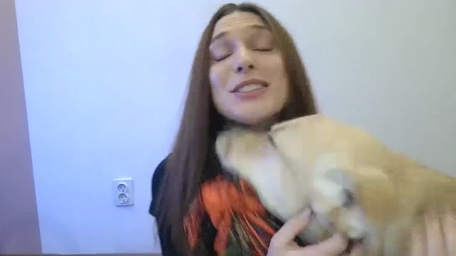 Gallery image thumbnail from HaleyReed's myfreecams stream on, 12/25/2024, 10:51 image 1 of 20
