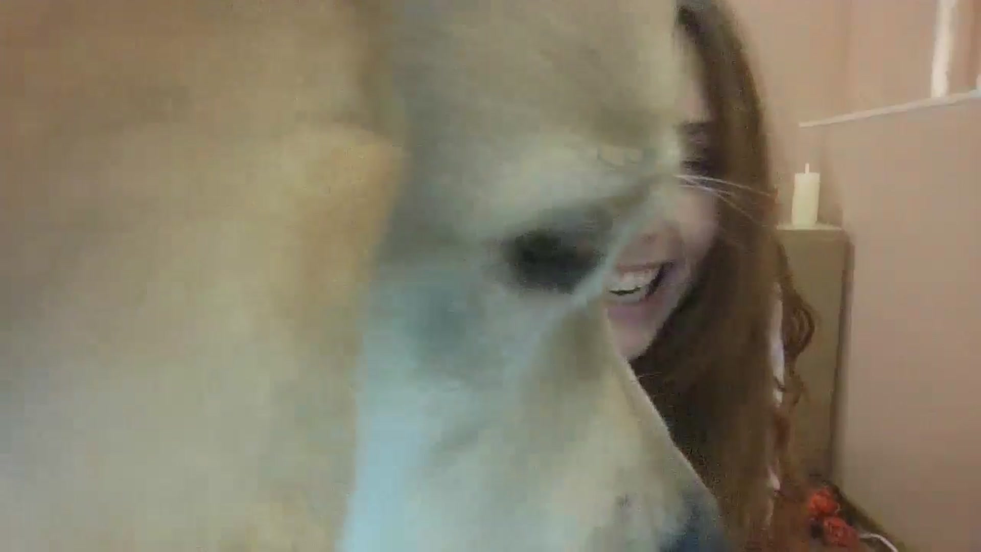 Gallery image thumbnail from HaleyReed's myfreecams stream on, 01/12/2025, 14:48 image 16 of 20
