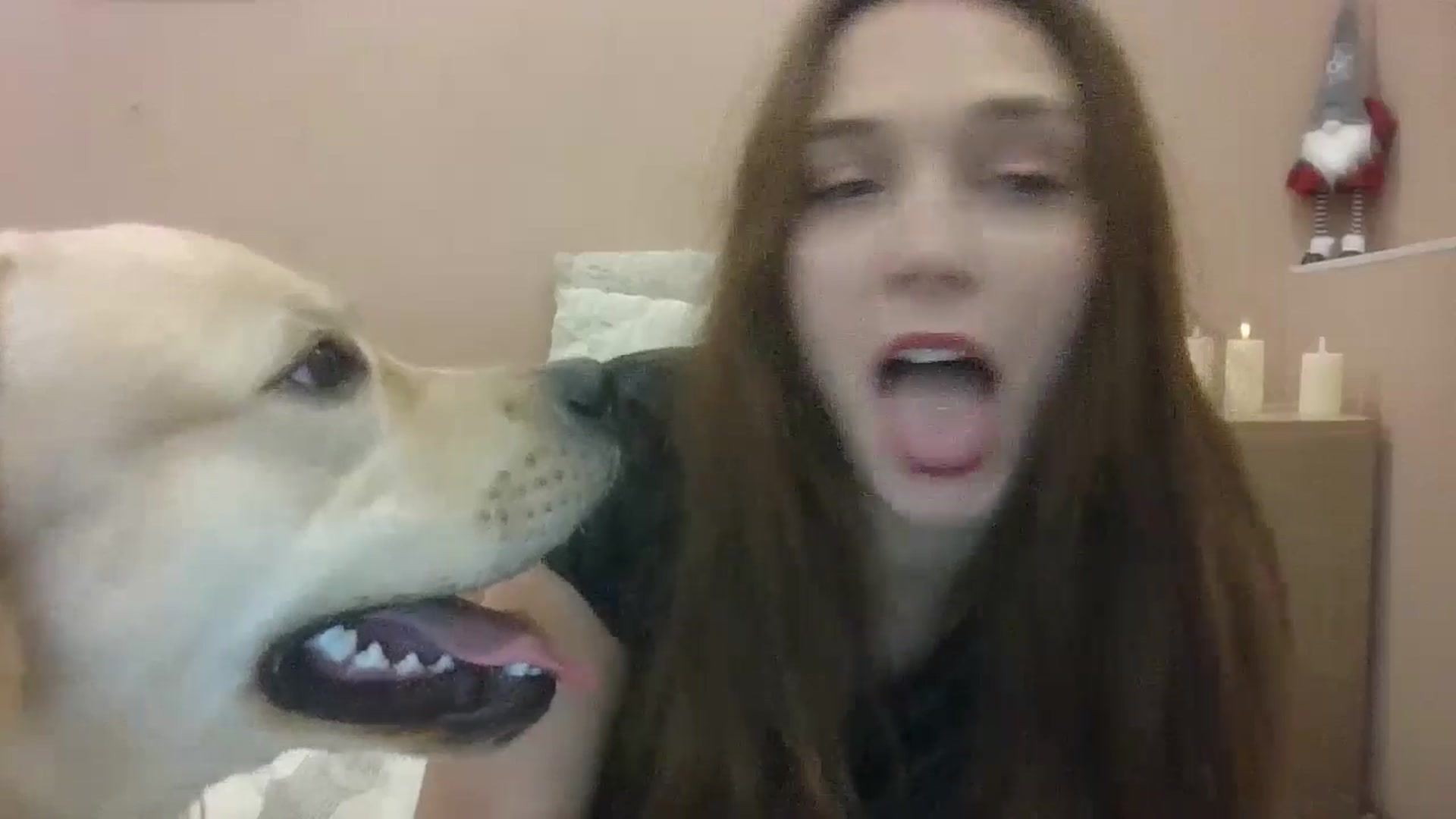 Gallery image thumbnail from HaleyReed's myfreecams stream on, 01/30/2025, 17:06 image 7 of 20