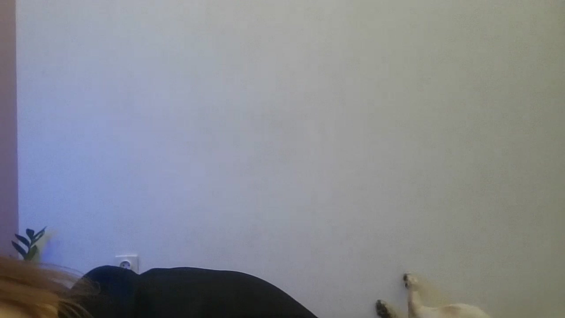 Gallery image thumbnail from HaleyReed's myfreecams stream on, 01/31/2025, 12:09 image 1 of 20
